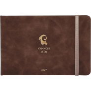 Еженедельник датированный 2027 IF 160x105 64л тверд с рез Шанс I2052/brown